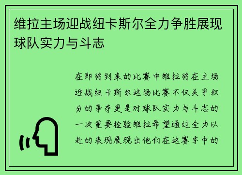 维拉主场迎战纽卡斯尔全力争胜展现球队实力与斗志