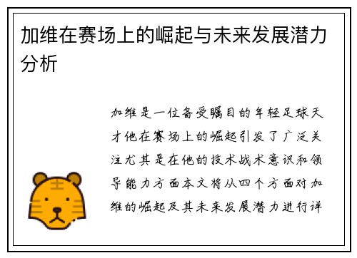 加维在赛场上的崛起与未来发展潜力分析