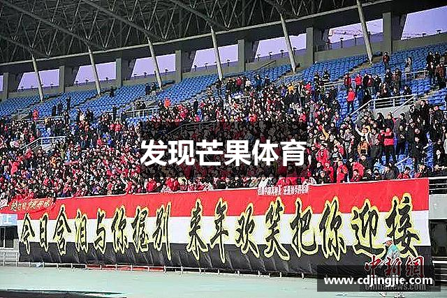 发现芒果体育